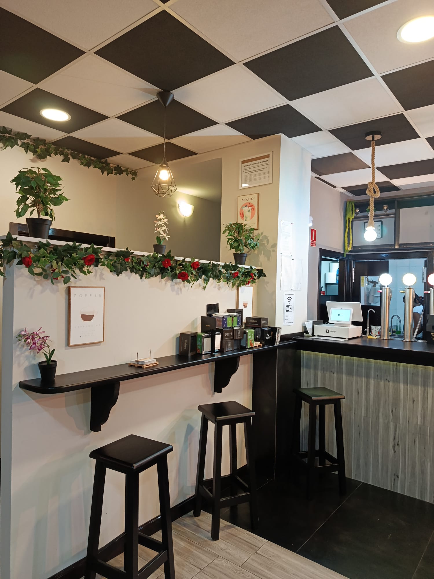 Barra y repisa con plantas